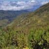 Zdjęcie z Portugalii - Trekking po szczytach Madery