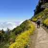 Zdjęcie z Portugalii - Trekking po szczytach Madery