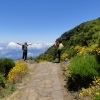 Zdjęcie z Portugalii - Trekking po szczytach Madery