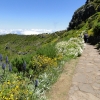 Zdjęcie z Portugalii - Trekking po szczytach Madery