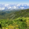 Zdjęcie z Portugalii - Trekking po szczytach Madery