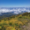 Zdjęcie z Portugalii - Trekking po szczytach Madery