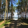 Zdjęcie z Polski - Mierzeja Wiślana