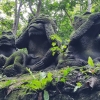Zdjęcie z Indonezji - 