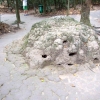 Zdjęcie z Tajlandii - nibytermitiera