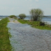 Zdjęcie z Polski - Czas kaczeńców