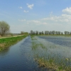 Zdjęcie z Polski - Czas kaczeńców