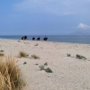 Zdjęcie z Grecji - Plaża między Tigaki i Marmari