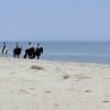 Zdjęcie z Grecji - Plaża między Tigaki i Marmari
