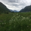 Zdjęcie z Norwegii - 