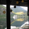 Zdjęcie z Norwegii - Geiranger