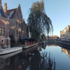 Zdjęcie z Belgii - 