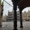 Zdjęcie z Belgii - 