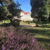 Zdjęcie z Polski - Pałac w Rogalinie