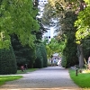 Zdjęcie z Polski - Kórnik - zamek i arboretum