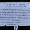 Zdjęcie z Polski - Kórnik - zamek i arboretum