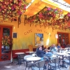 Zdjęcie z Francji - słynna kawiarnia Cafe van Gogh
