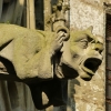 Zdjęcie z Francji - katedralne rzygacze- to coś, co od lat mnie zachwyca