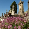 Zdjęcie z Francji - Cimentiere-de-Saint-Martin-de-Poursan, bo tak brzmi pełna nazwa tego cmentarza