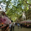 Zdjęcie z Hiszpanii - a tutaj fragment Rambla de Sant Josep lub inaczej Rambla de les Flores ? Rambla Kwiatów