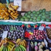 Zdjęcie z Portugalii - 