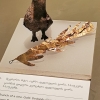 Zdjęcie z Gruzji - 