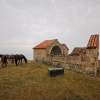 Zdjęcie z Gruzji - 
