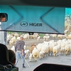 Zdjęcie z Armenii - 