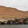 Zdjęcie z Peru - 