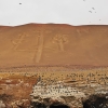 Zdjęcie z Peru - 
