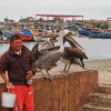 Zdjęcie z Peru - 