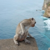Indonezja - Bali Uluwatu