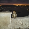 Zdjęcie z Hiszpanii - Gibraltar