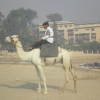 Zdjęcie z Egiptu - Giza