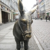 Polska - Toruń