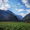 Zdjęcie z Peru - 