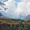 Zdjęcie z Peru - 