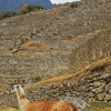 Zdjęcie z Peru - 