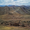 Zdjęcie z Peru - 
