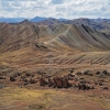 Zdjęcie z Peru - 