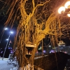 Zdjęcie z Wietnamu - 