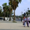 Zdjęcie z Maroka - Agadir
