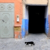 Zdjęcie z Maroka - Taroudant
