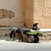 Zdjęcie z Maroka - Taroudant