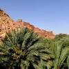 Zdjęcie z Maroka - Ksar Ait Benhaddou