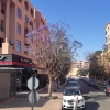 Zdjęcie z Maroka - Marrakesz