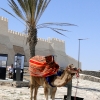 Zdjęcie z Maroka - Agadir