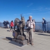 Zdjęcie z Niemiec - kozica i koziorożec