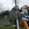 Zdjęcie z Austrii - Planica