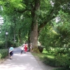 Zdjęcie z Niemiec - arboretum